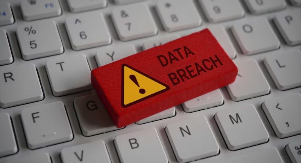 thejavasea.me leaks aio-tlp